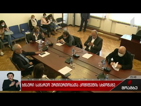 ხმაური საგარეო ურთიერთობათა კომიტეტის სხდომაზე